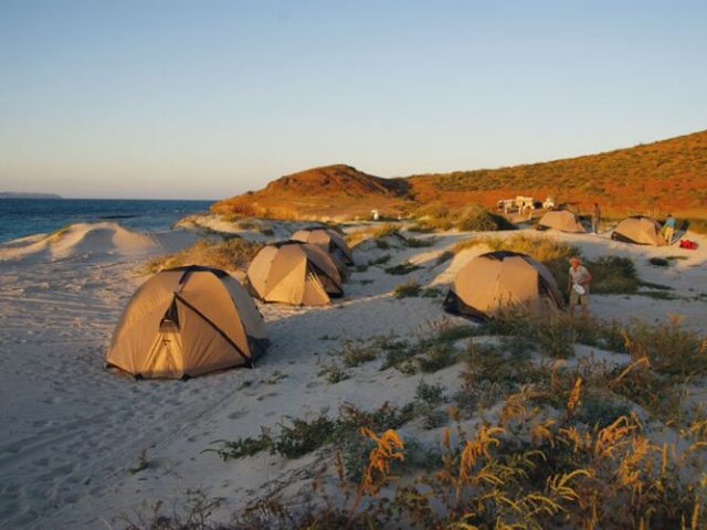 Zeltcamp in den Dünen